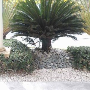 Meet your Posher, Rose